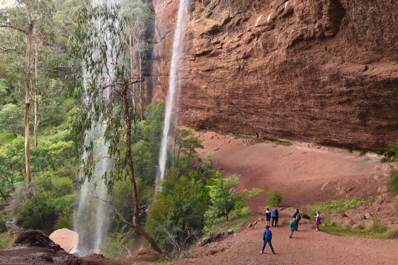 Paradise Falls | King Valley | Jessie's Creek Cottage | Victoria's High Country