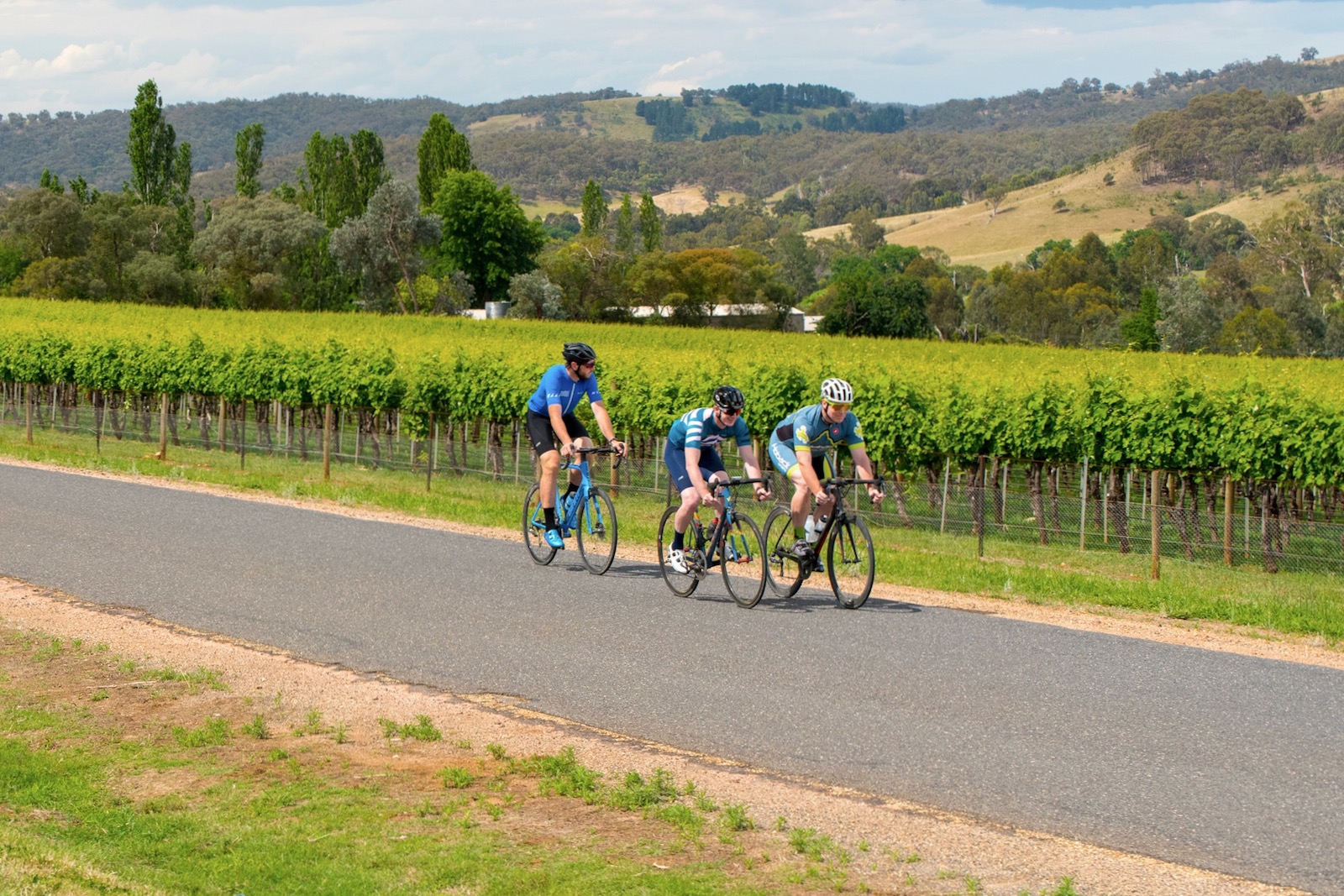 Cycling | King Valley | Jessie's Creek Cottage | Victoria's High Country